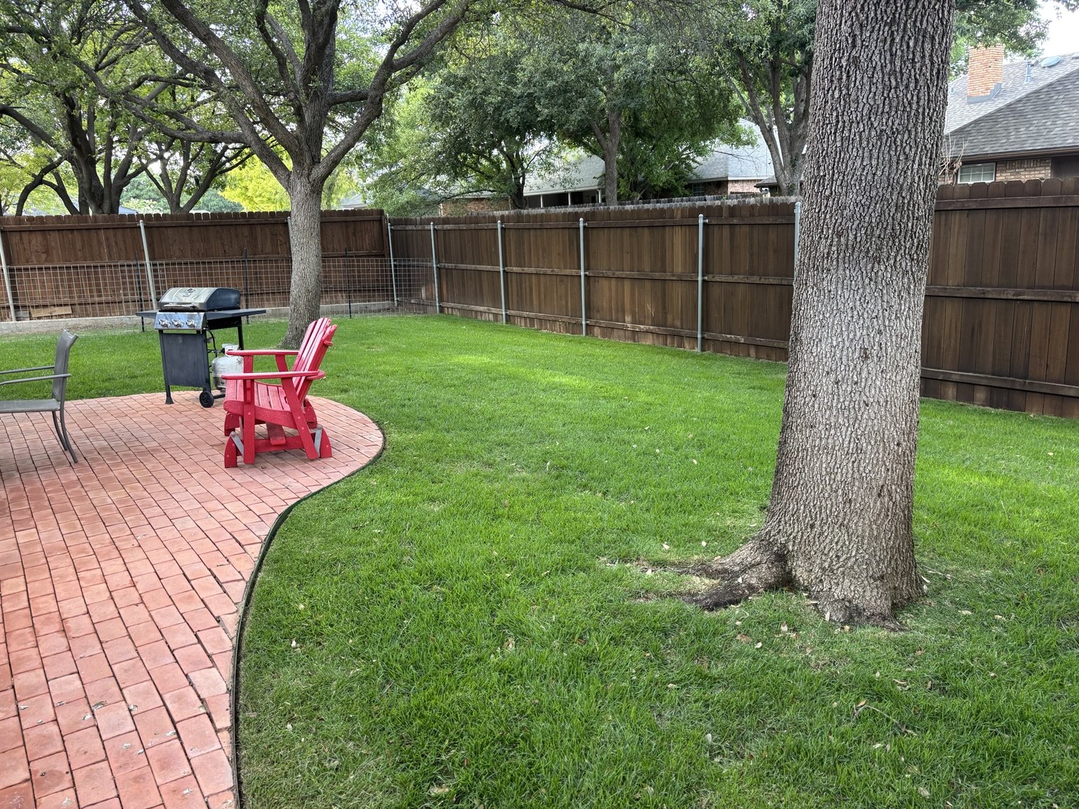 Healthy backyard lawn maintained by Polo Outdoor